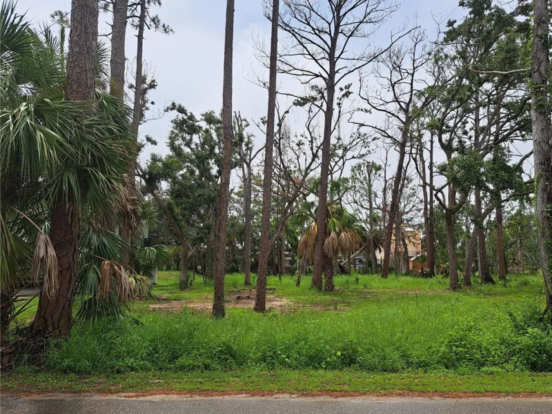 401 W 1ST ST NW #Lot #4, STEINHATCHEE, FL