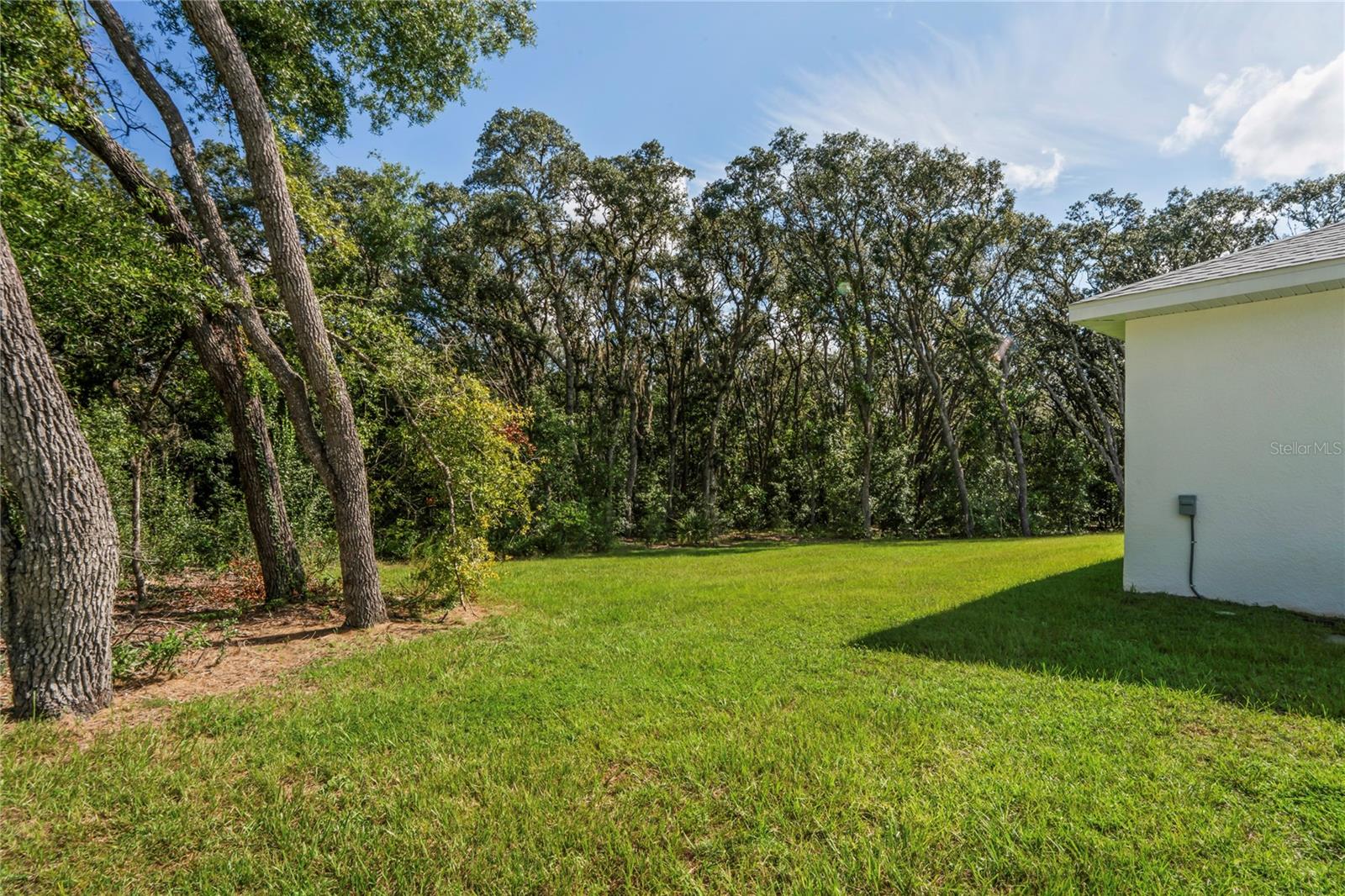 279 W PEARSON ST, HERNANDO, FL — photo 44
