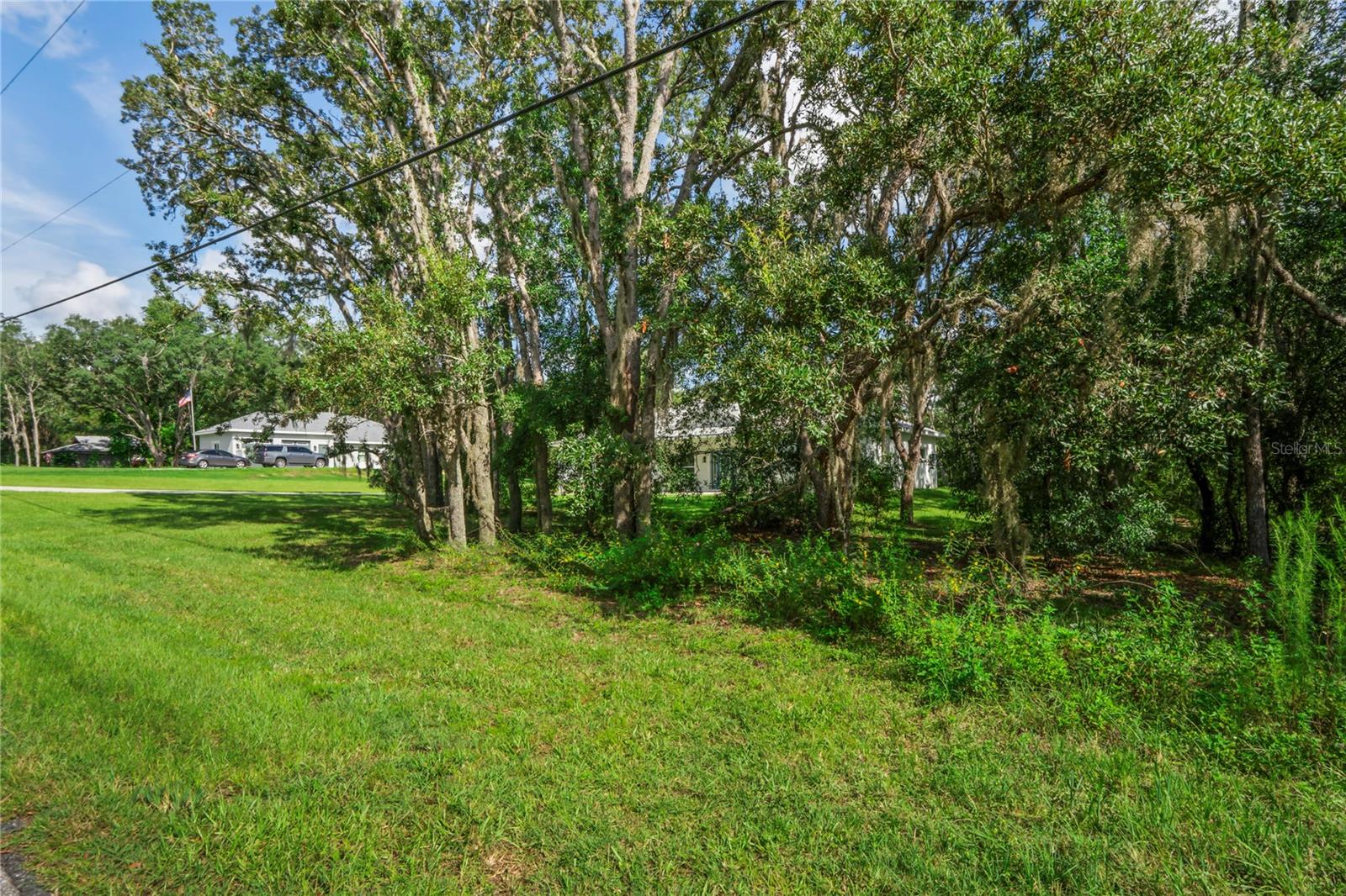 279 W PEARSON ST, HERNANDO, FL — photo 58