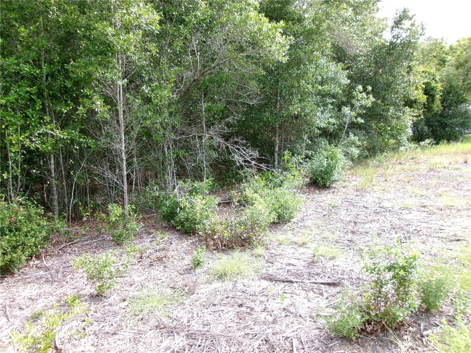 Lot 13 SW RAINBOW LAKES BLVD, DUNNELLON, FL — photo 5