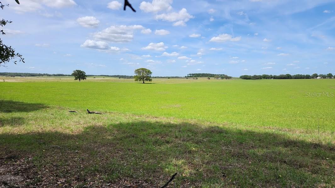 Lot 27 SW PINE BLUFFS RD, DUNNELLON, FL — photo 4