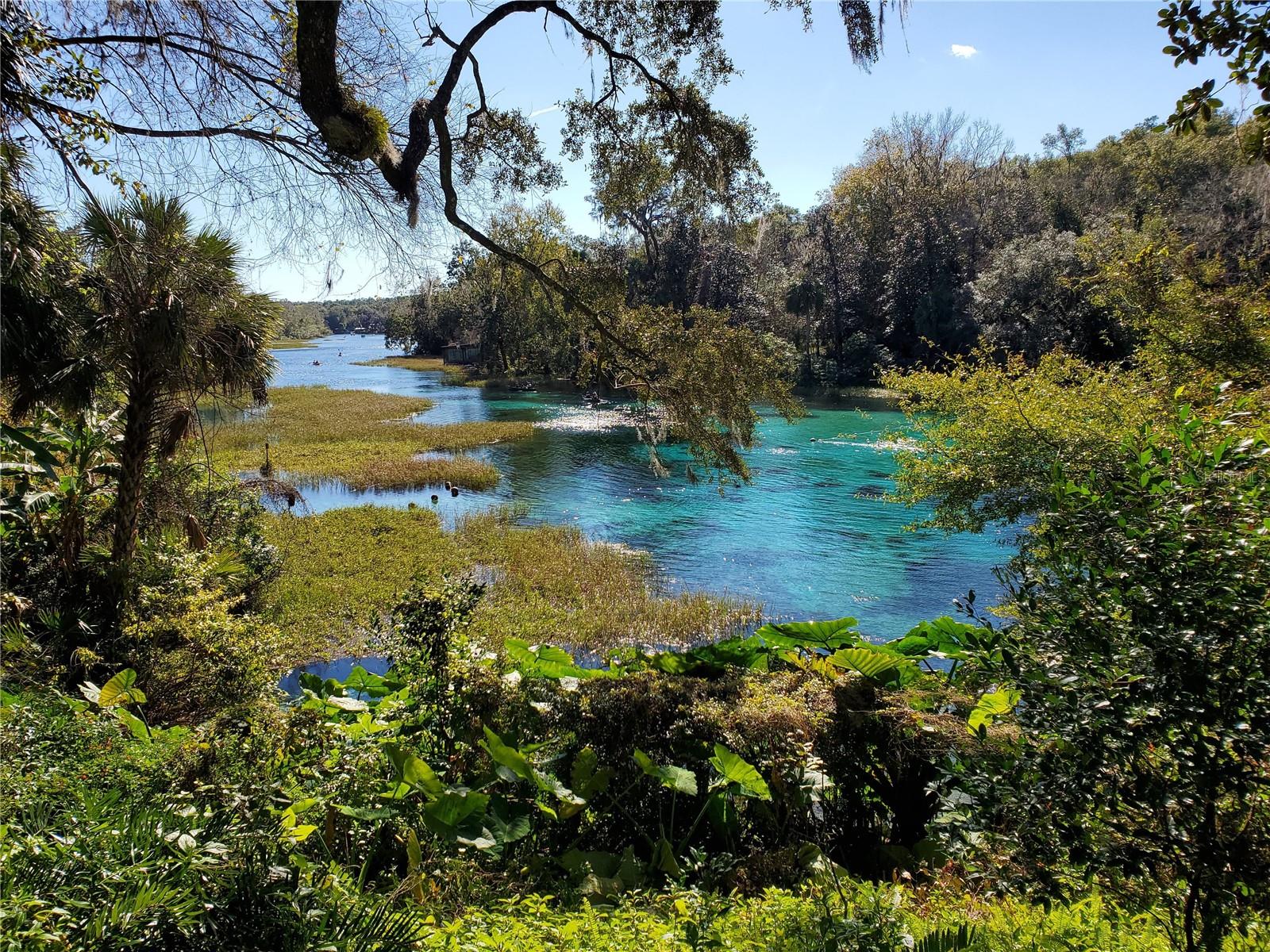 Lot 27 SW PINE BLUFFS RD, DUNNELLON, FL — photo 11