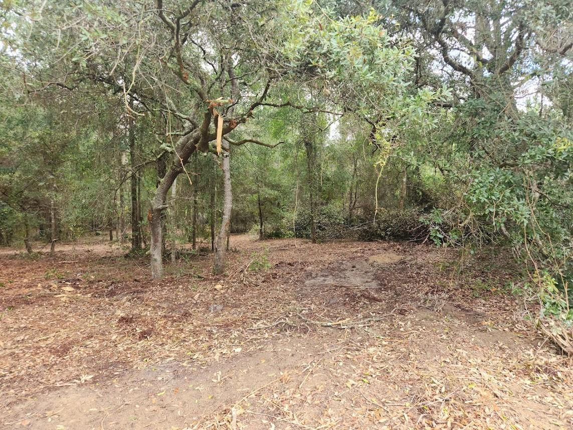 Lot 27 SW PINE BLUFFS RD, DUNNELLON, FL — photo 12