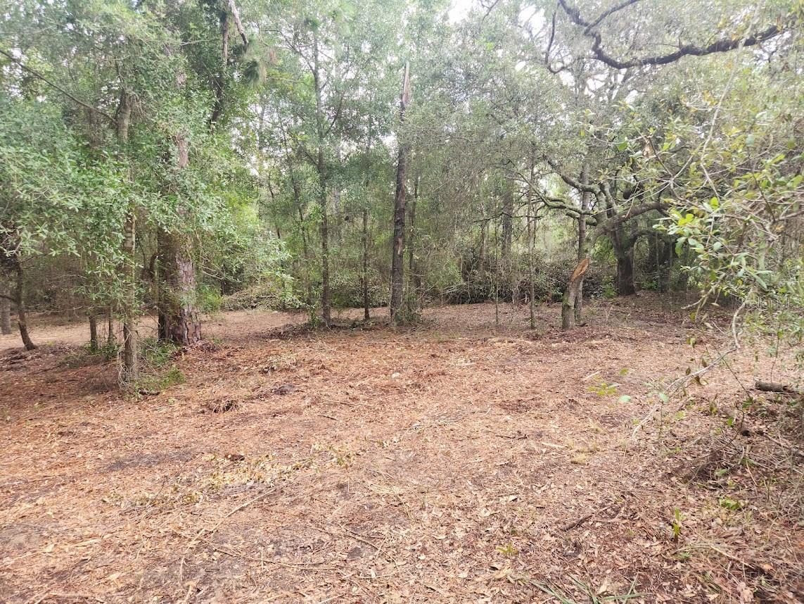 Lot 27 SW PINE BLUFFS RD, DUNNELLON, FL — photo 14