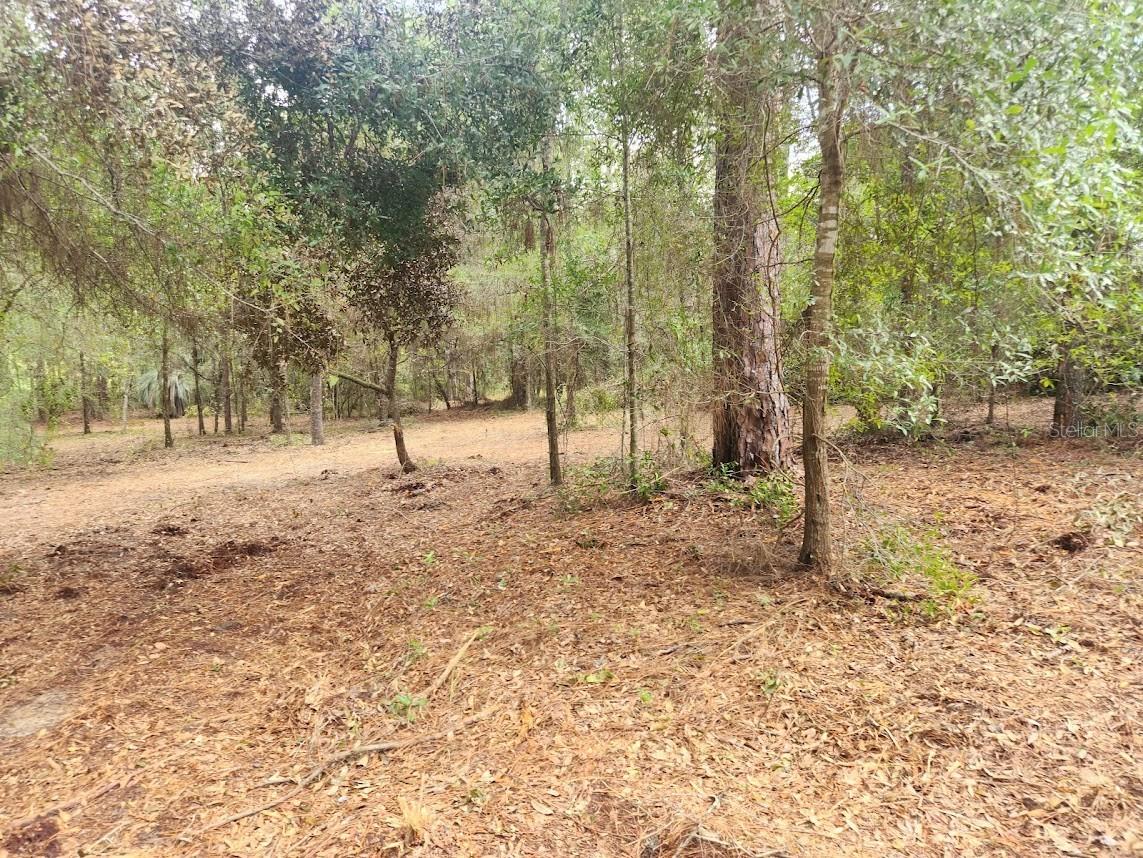 Lot 27 SW PINE BLUFFS RD, DUNNELLON, FL — photo 17