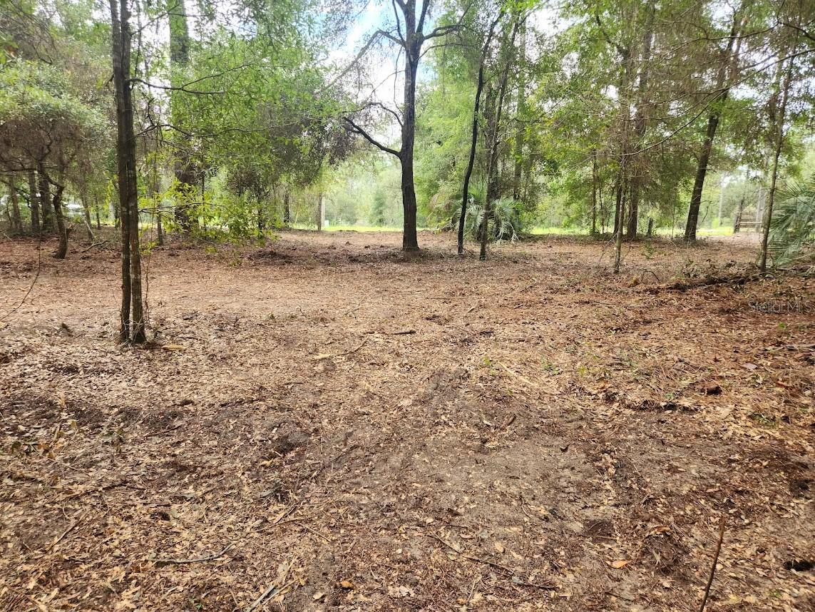 Lot 27 SW PINE BLUFFS RD, DUNNELLON, FL — photo 19