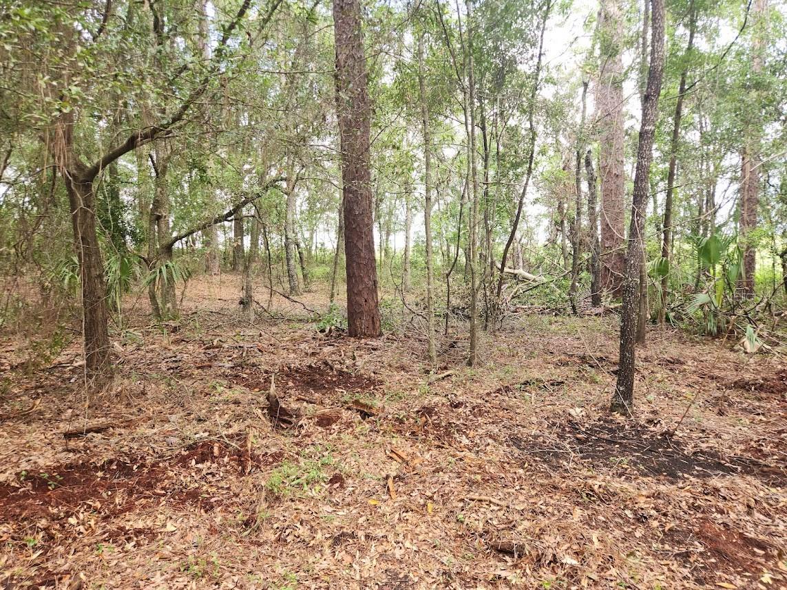 Lot 27 SW PINE BLUFFS RD, DUNNELLON, FL — photo 20