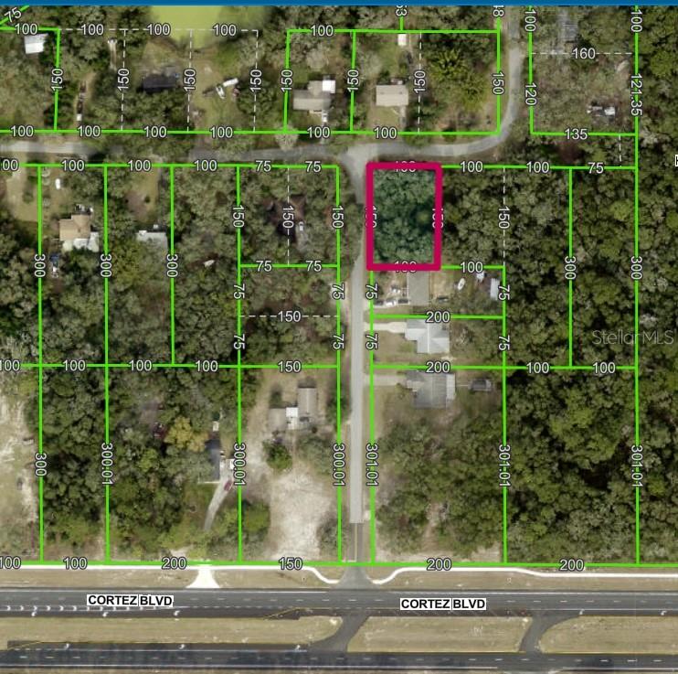 Lot 175C MADISON AVE, DADE CITY, FL