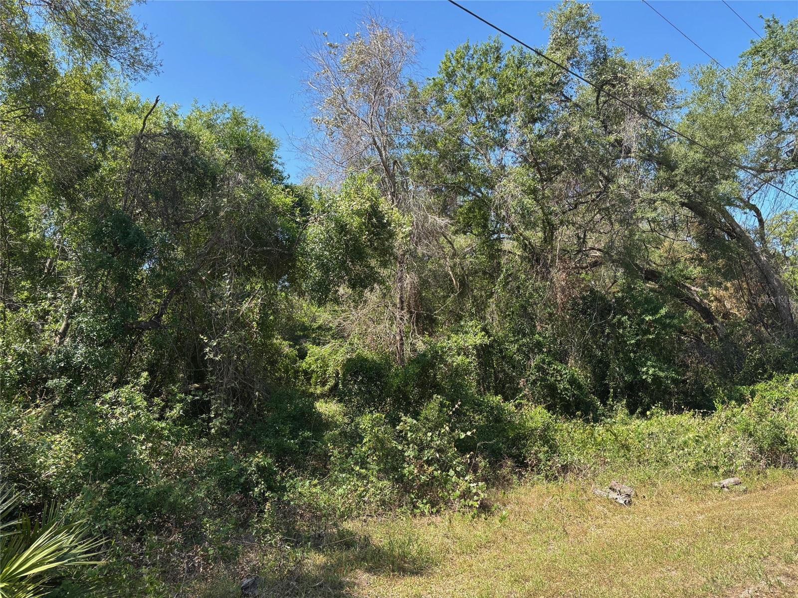 Lot 175C MADISON AVE, DADE CITY, FL — photo 4