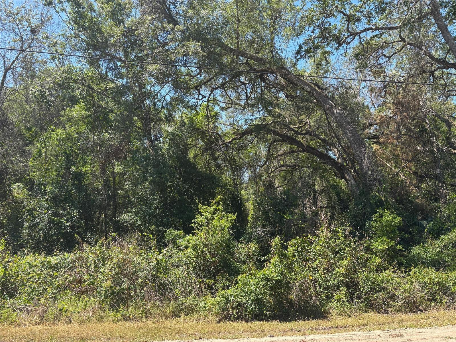 Lot 175C MADISON AVE, DADE CITY, FL — photo 5