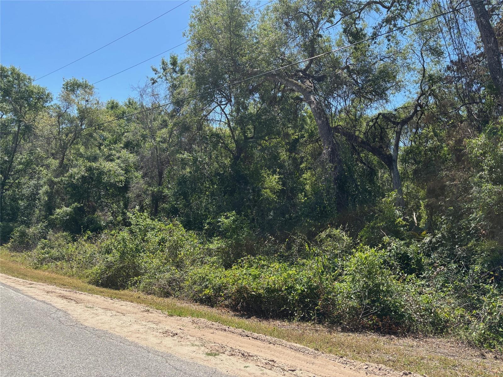 Lot 175C MADISON AVE, DADE CITY, FL — photo 3