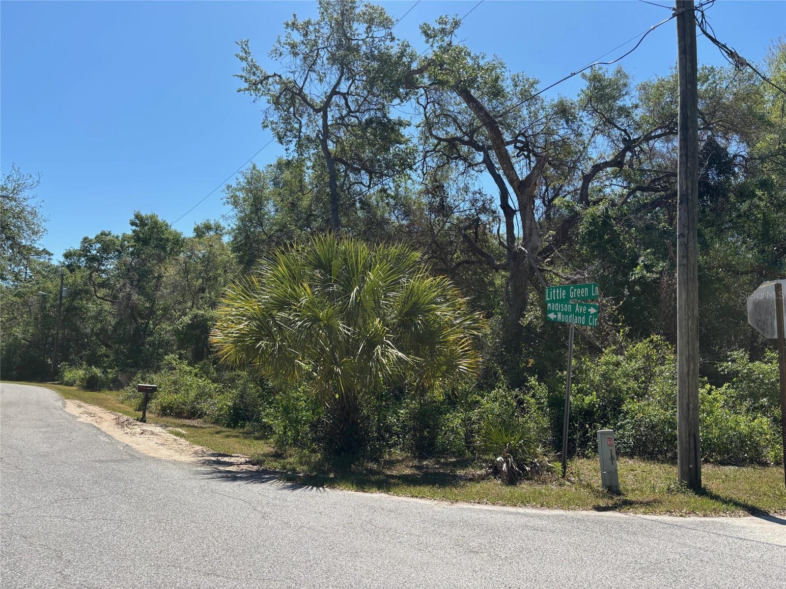 Lot 175C MADISON AVE, DADE CITY, FL — photo 2