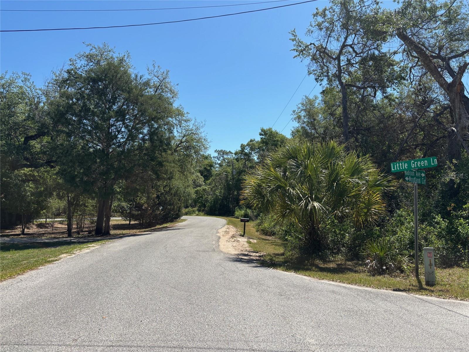 Lot 175C MADISON AVE, DADE CITY, FL — photo 7