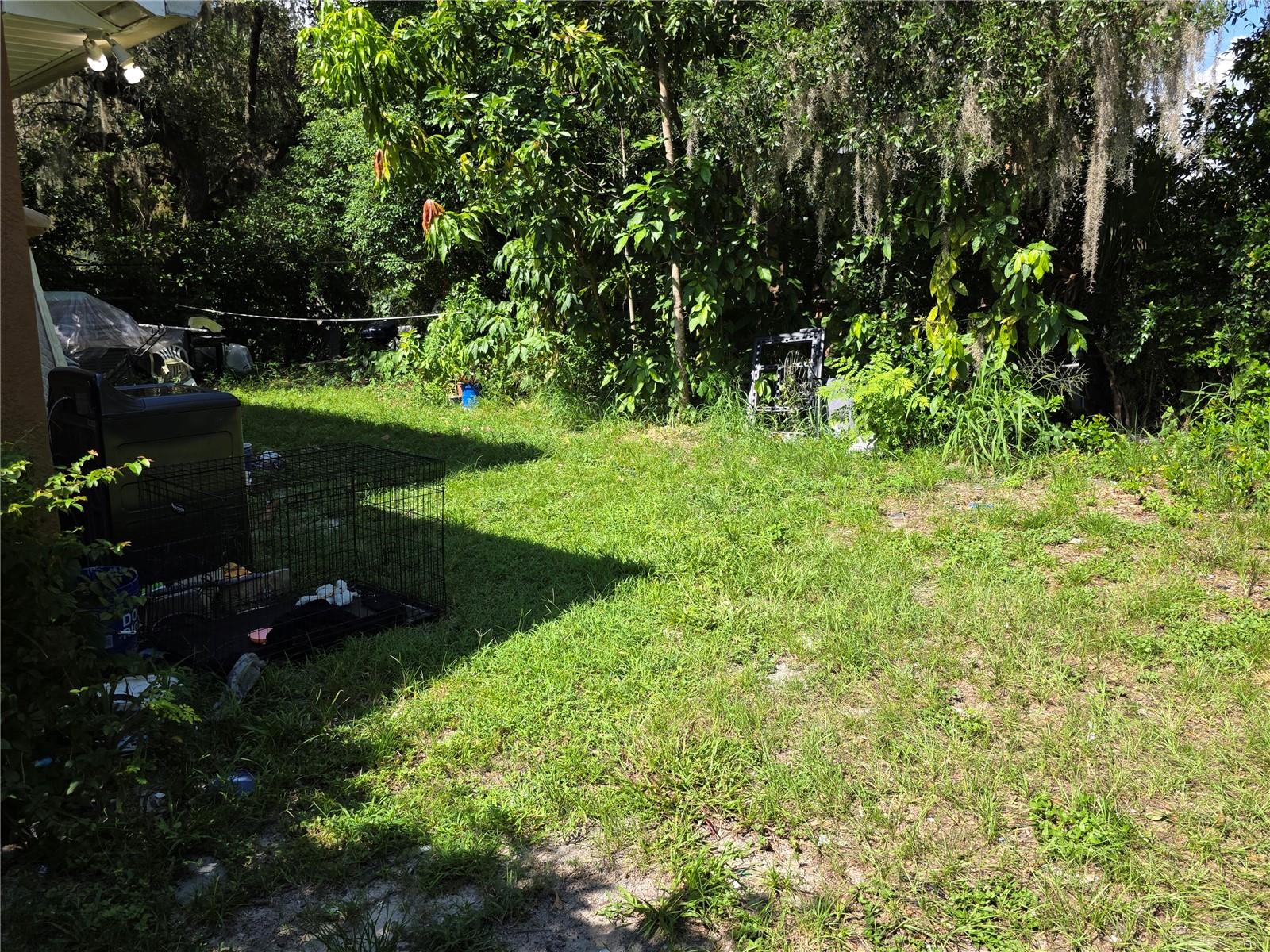 1777 N ORANGE ST, MOUNT DORA, FL — photo 7