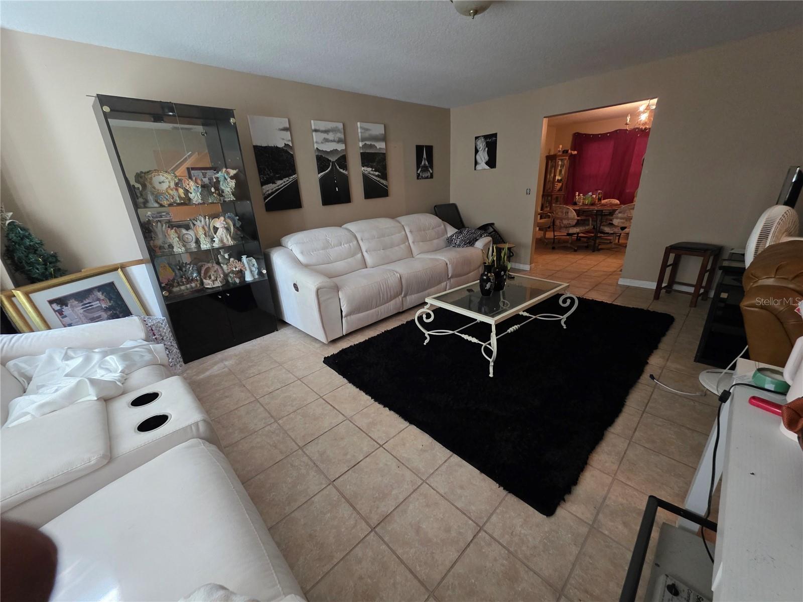 1777 N ORANGE ST, MOUNT DORA, FL — photo 12