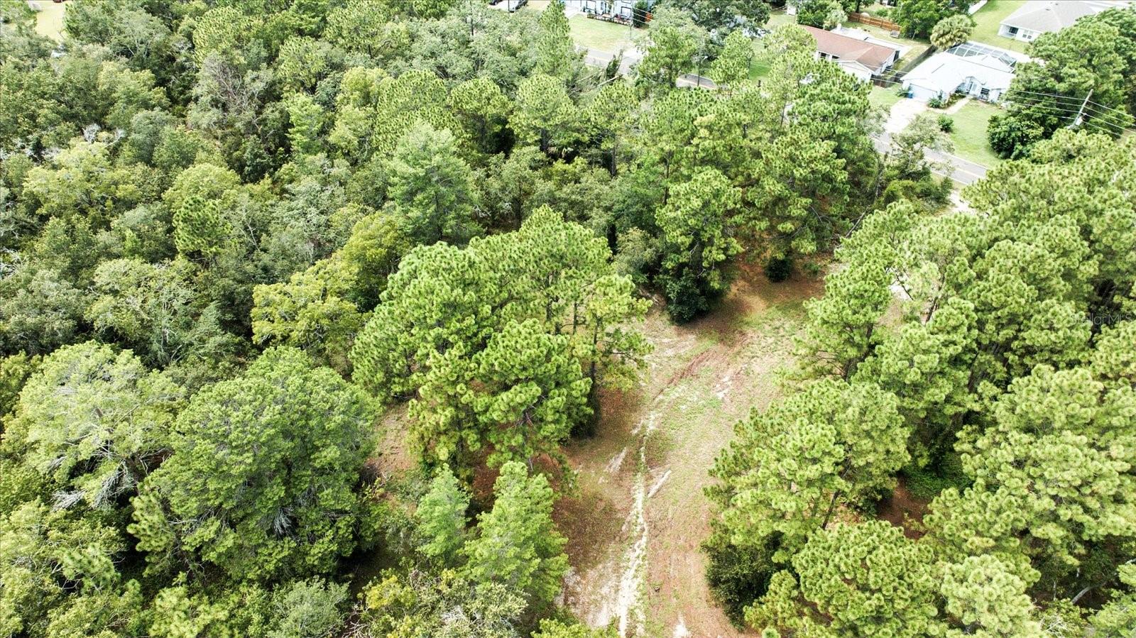 LINDEN DR, SPRING HILL, FL — photo 18