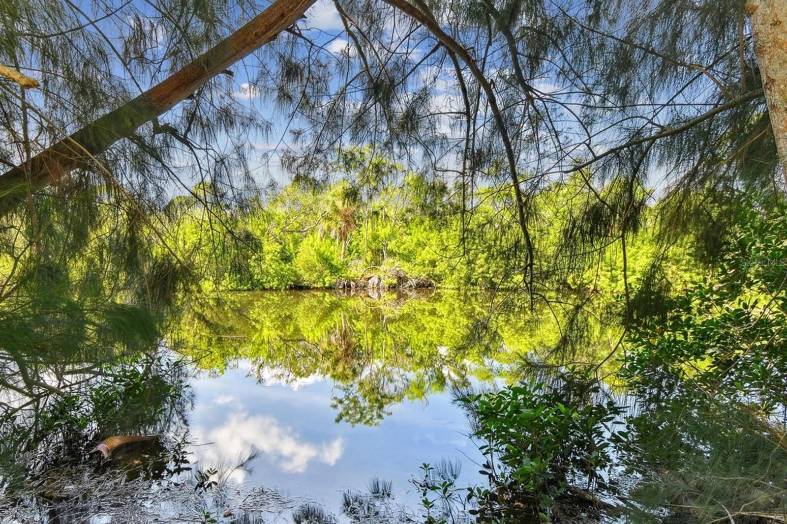 5909 MOHR RD, TAMPA, FL — photo 3