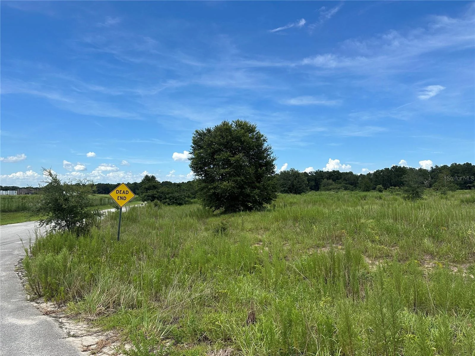 7795 SE 63RD CT, OCALA, FL — photo 5