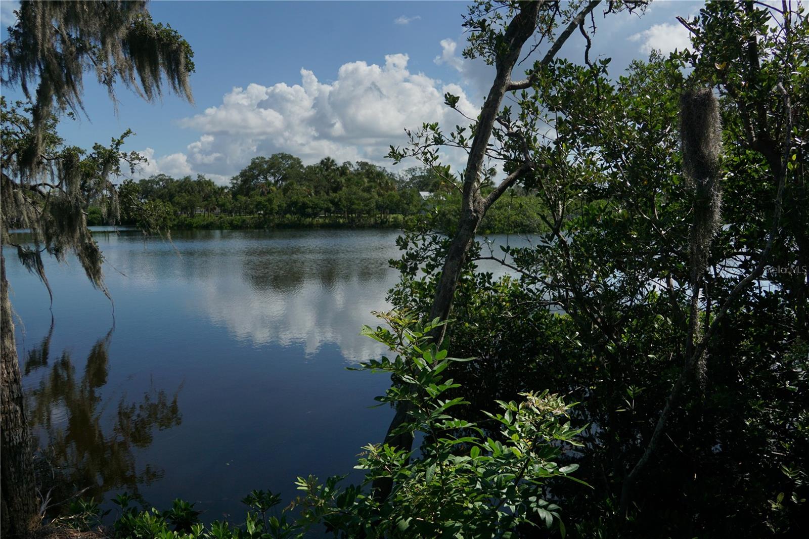 TIBERIUS TRL, NEW PORT RICHEY, FL — photo 3