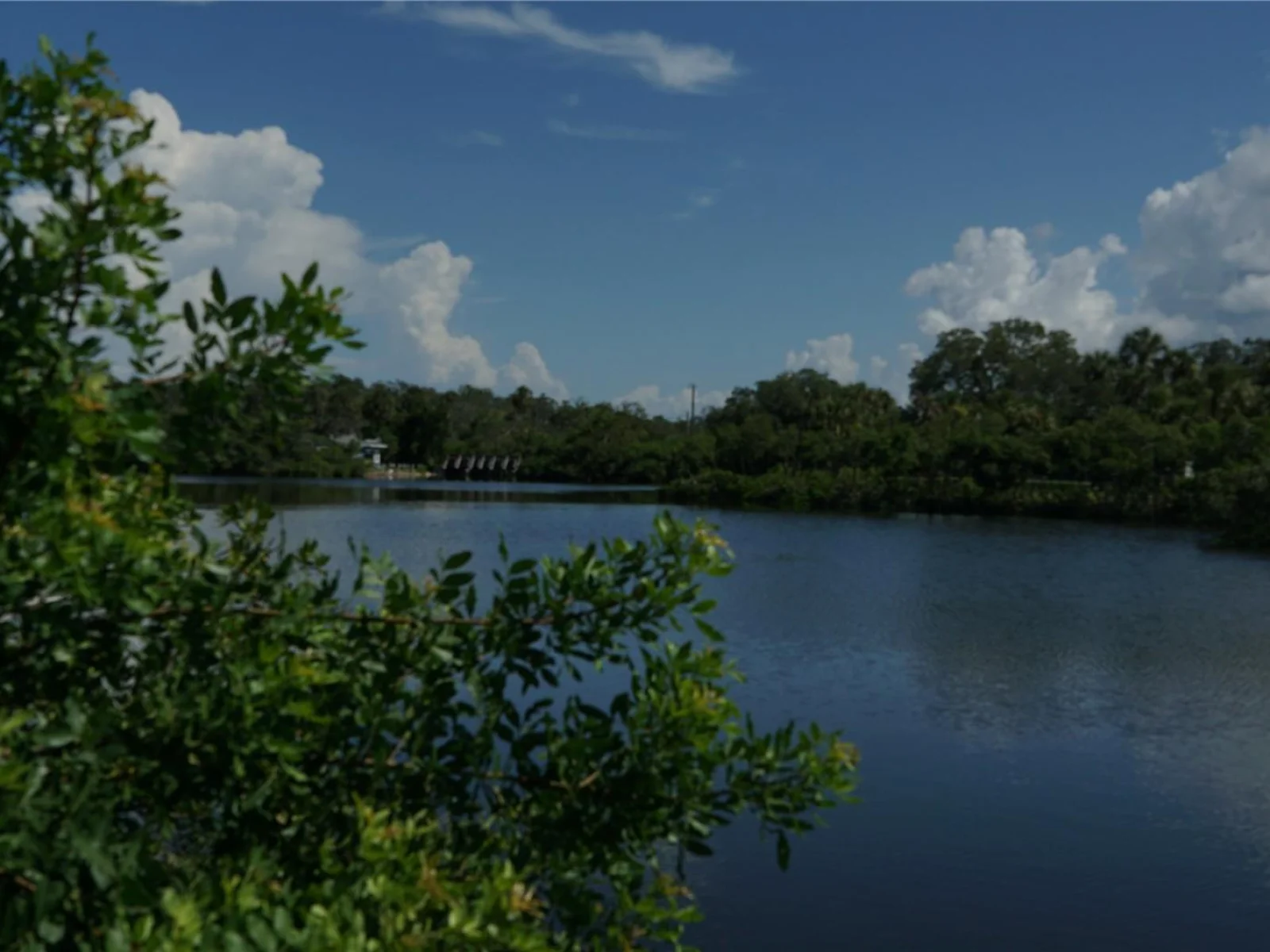 TIBERIUS TRL, NEW PORT RICHEY, FL — photo 6