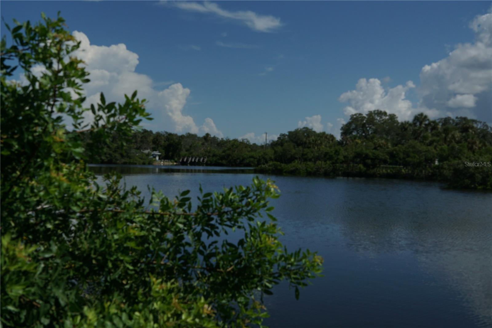 TIBERIUS TRL, NEW PORT RICHEY, FL — photo 5