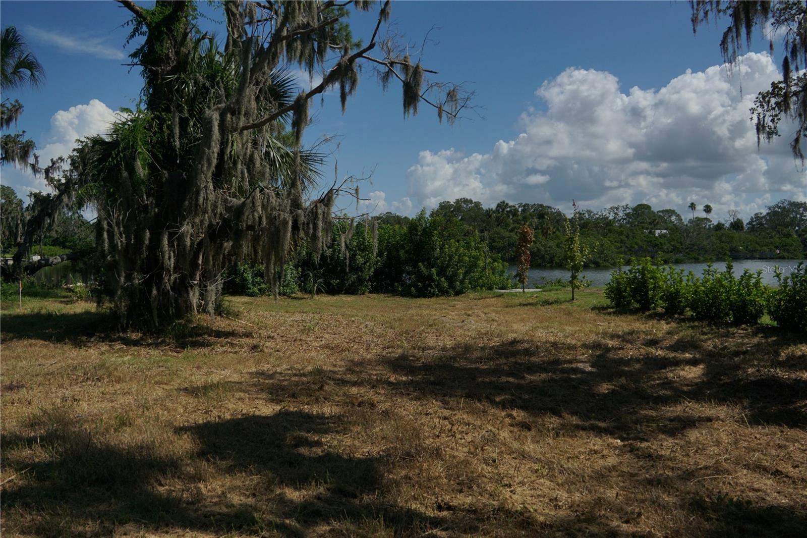 TIBERIUS TRL, NEW PORT RICHEY, FL — photo 7