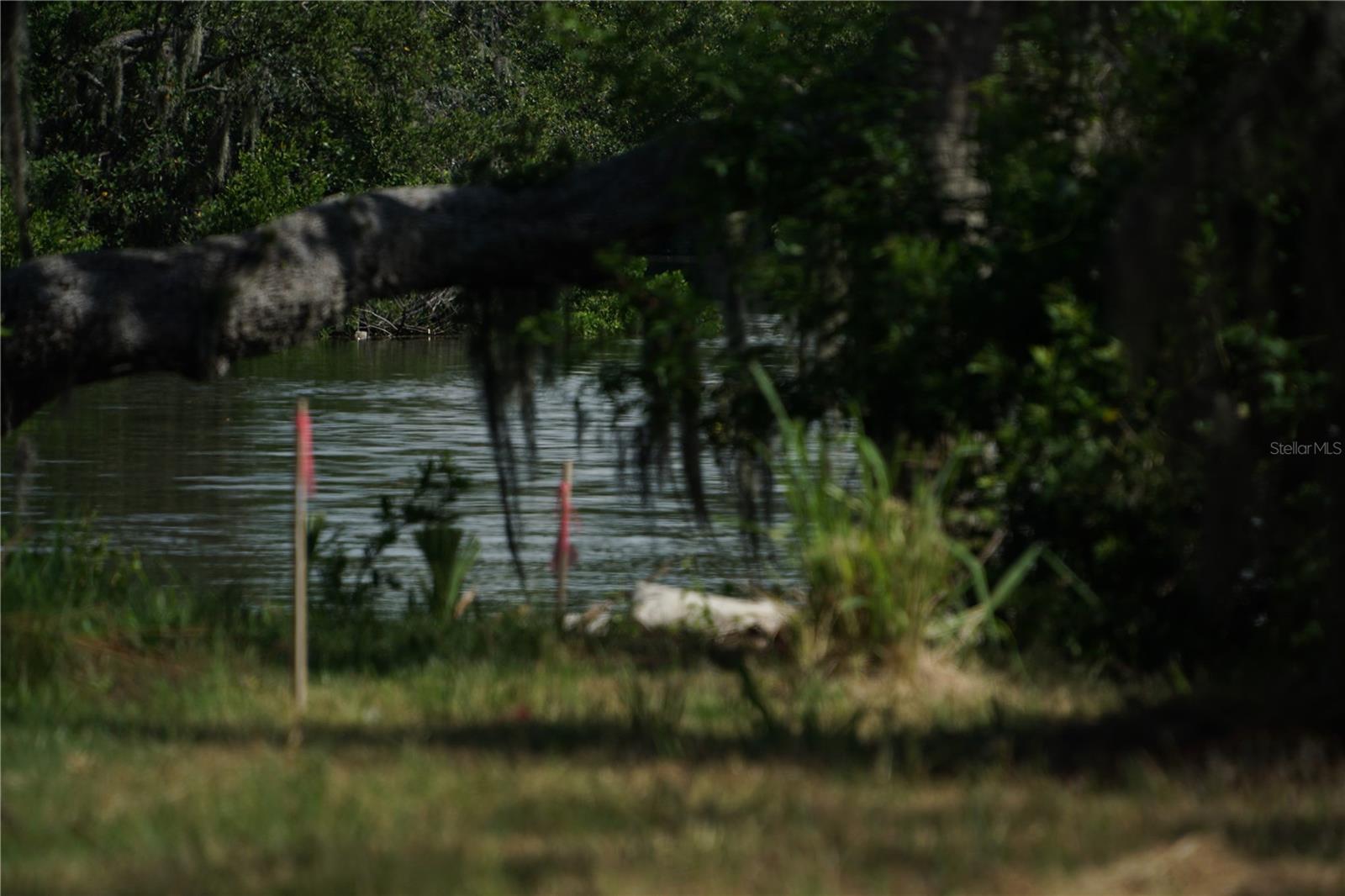 TIBERIUS TRL, NEW PORT RICHEY, FL — photo 9