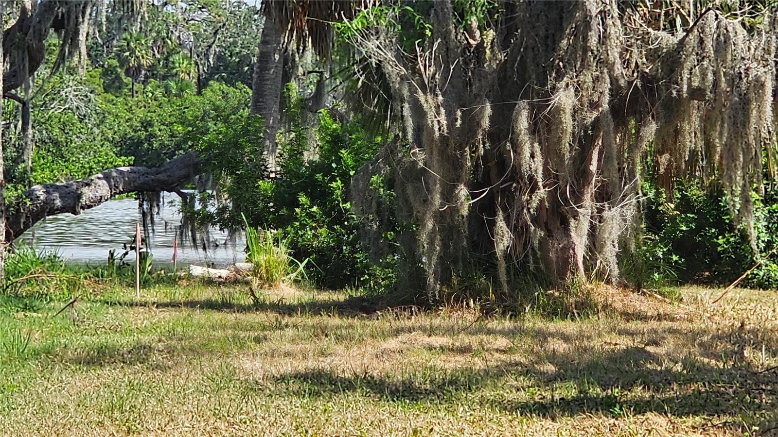 TIBERIUS TRL, NEW PORT RICHEY, FL — photo 11