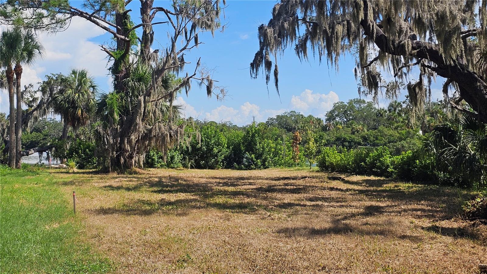 TIBERIUS TRL, NEW PORT RICHEY, FL — photo 13