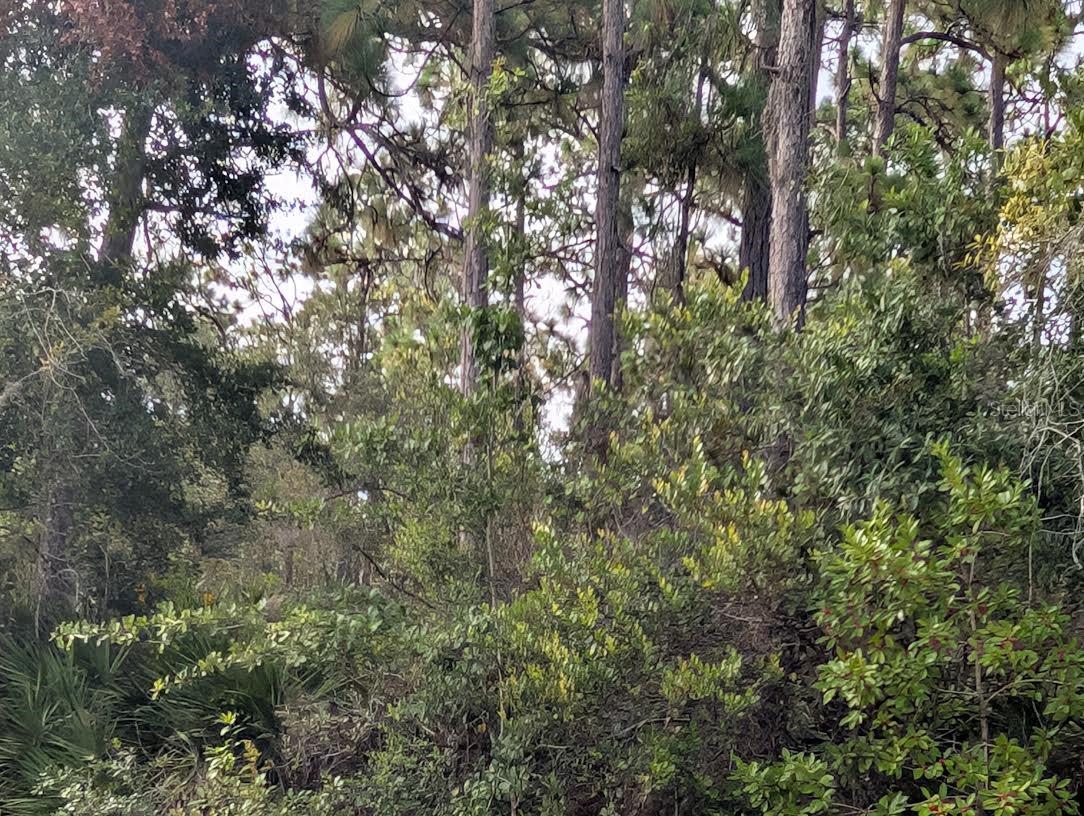 523 AZALEA DR, INDIAN LAKE ESTATES, FL — photo 2