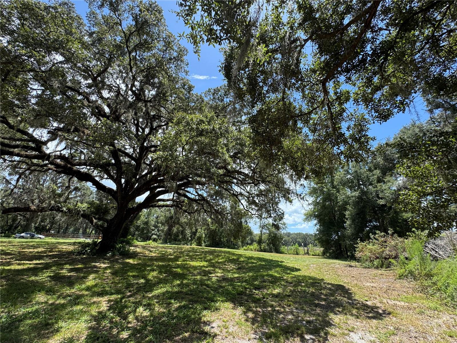 1220 N US HIGHWAY 41, DUNNELLON, FL — photo 13