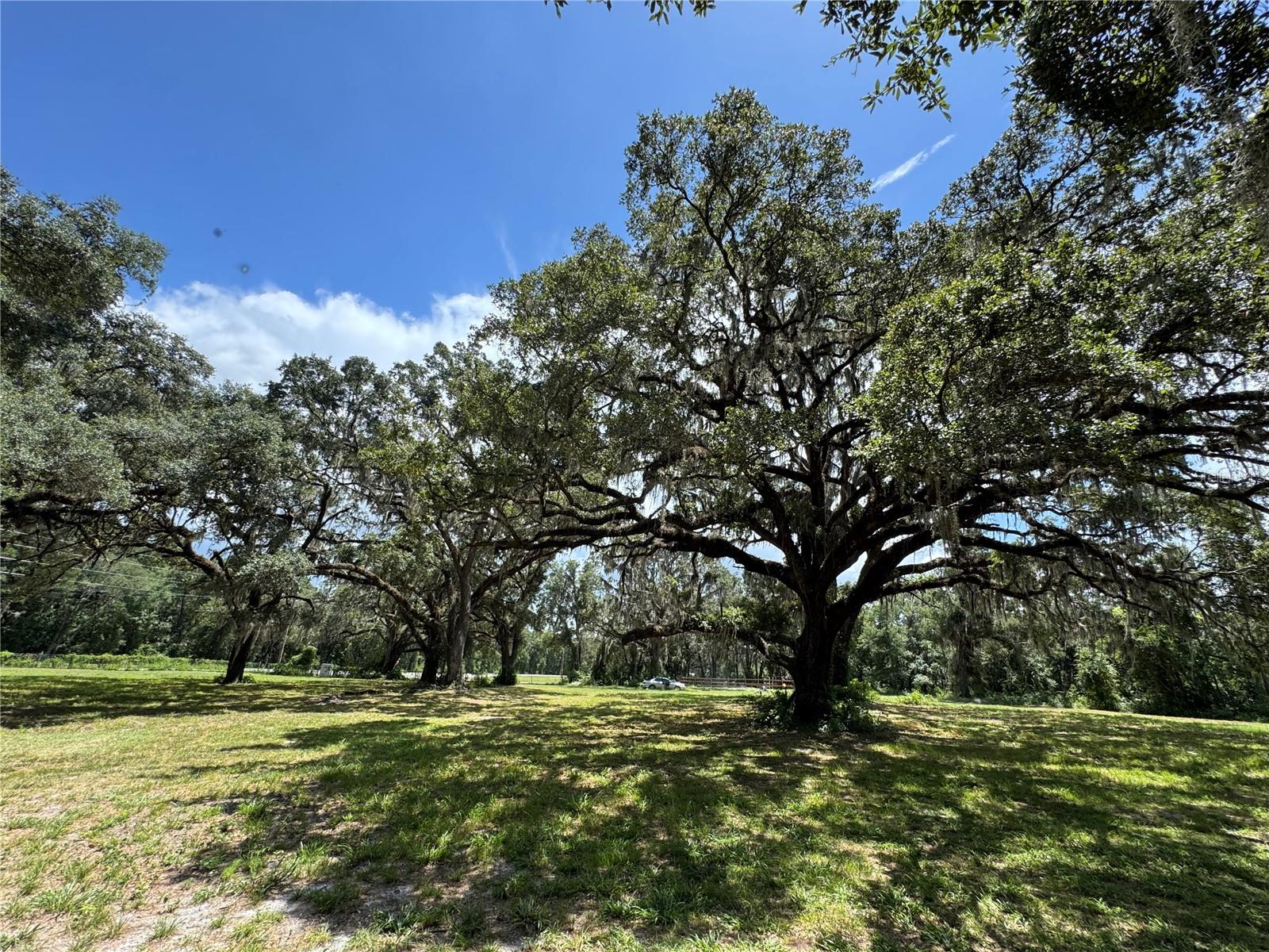 1220 N US HIGHWAY 41, DUNNELLON, FL — photo 15