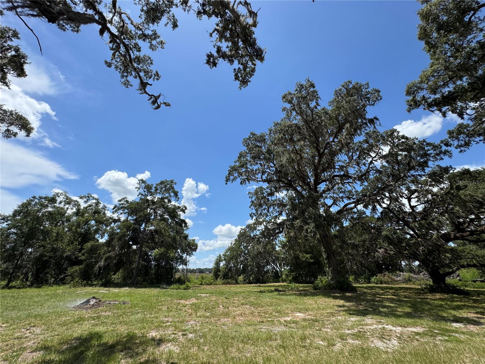 1220 N US HIGHWAY 41, DUNNELLON, FL — photo 17