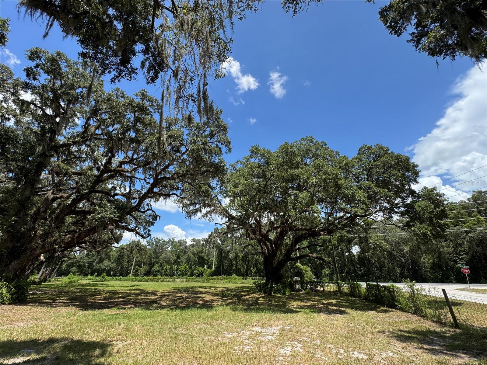 1220 N US HIGHWAY 41, DUNNELLON, FL — photo 24