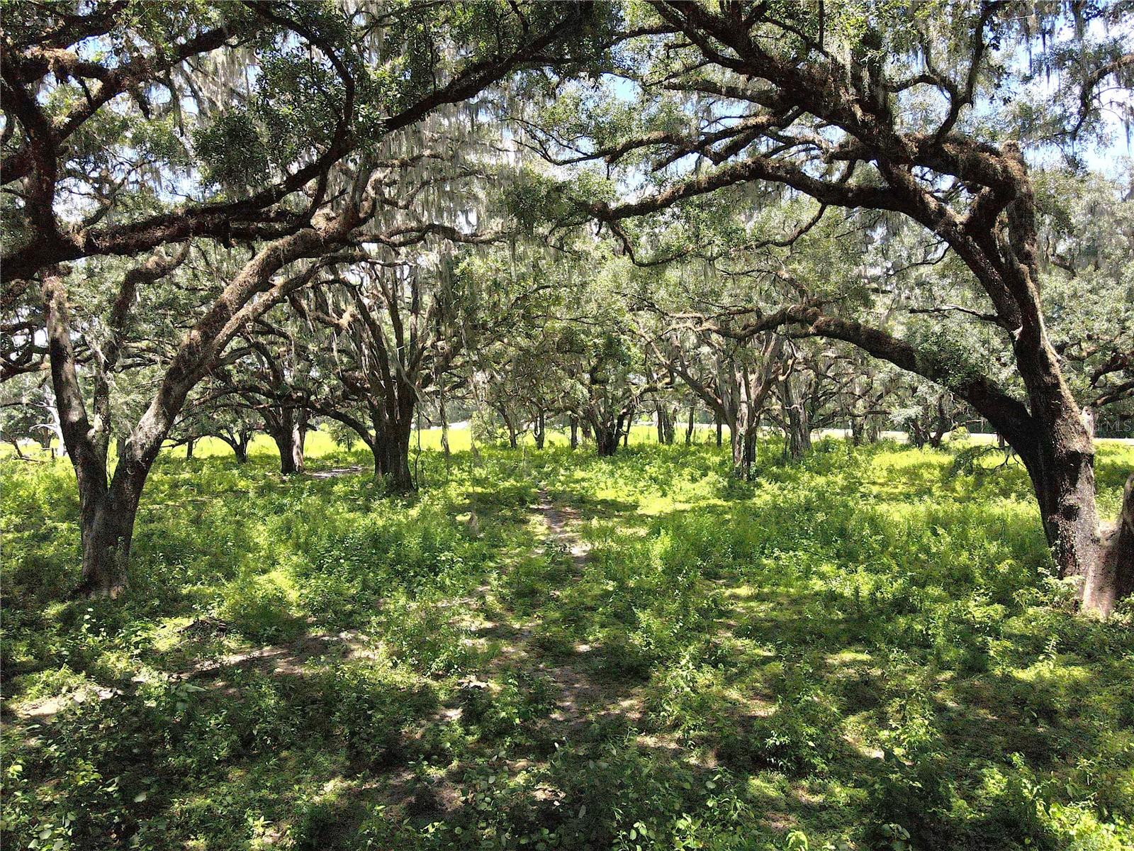 1220 N US HIGHWAY 41, DUNNELLON, FL — photo 48