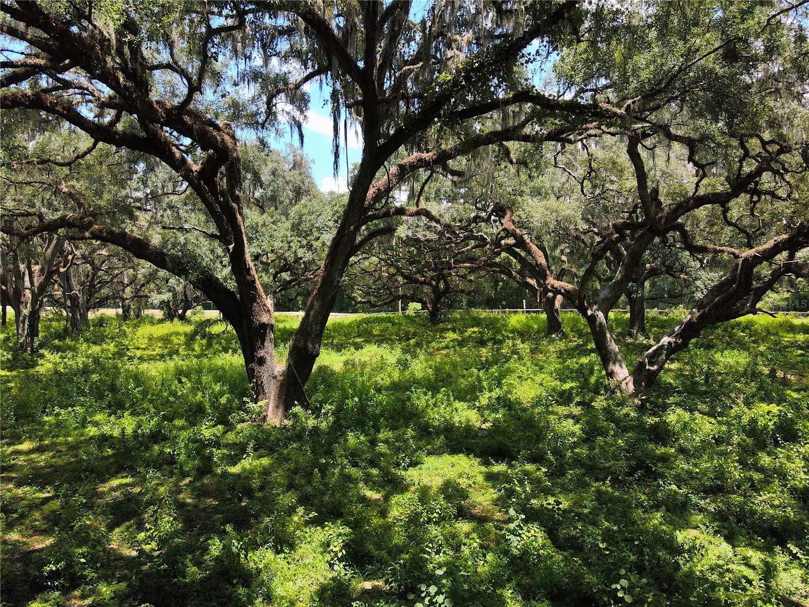 1220 N US HIGHWAY 41, DUNNELLON, FL — photo 49