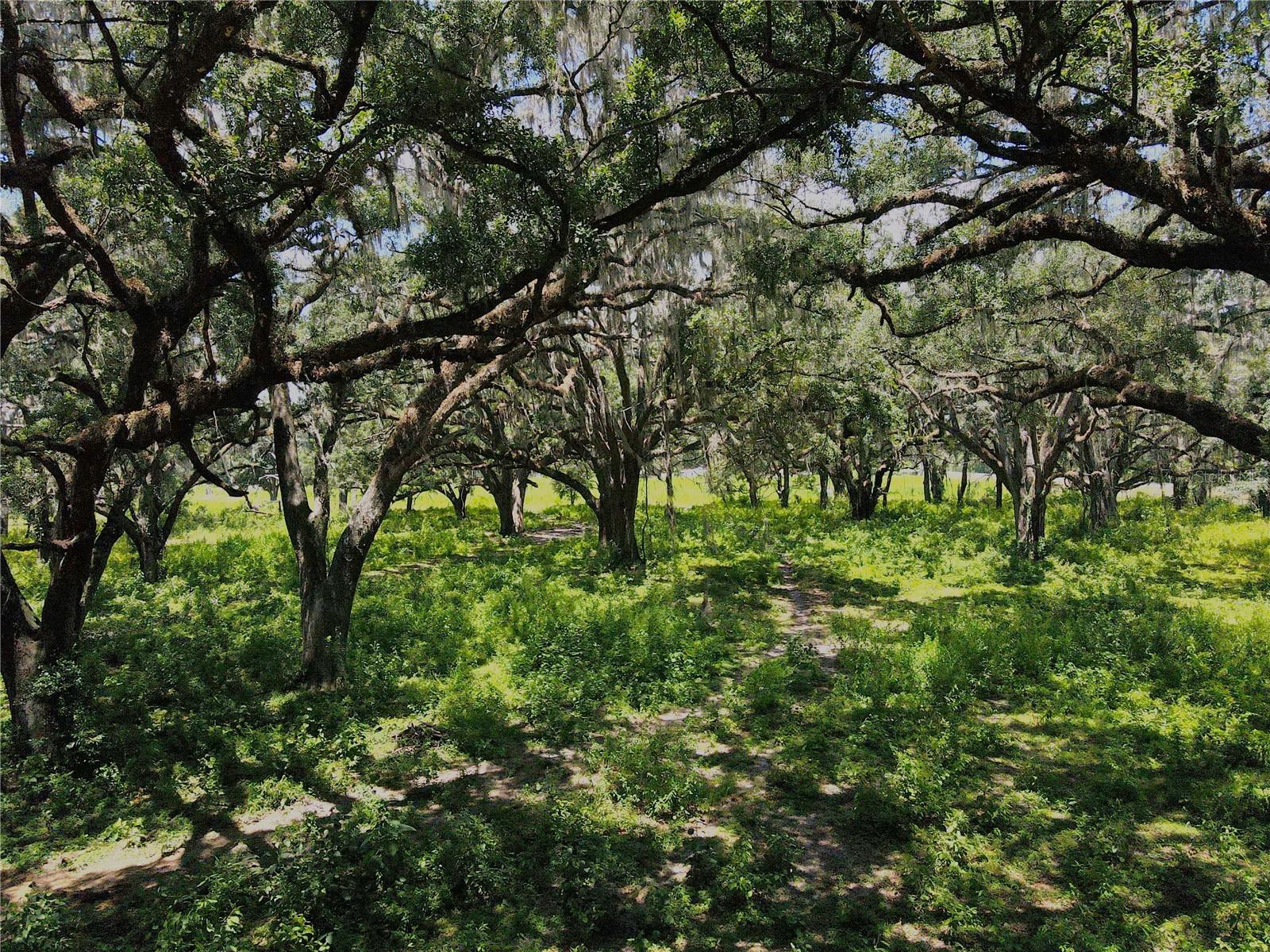 1220 N US HIGHWAY 41, DUNNELLON, FL — photo 52
