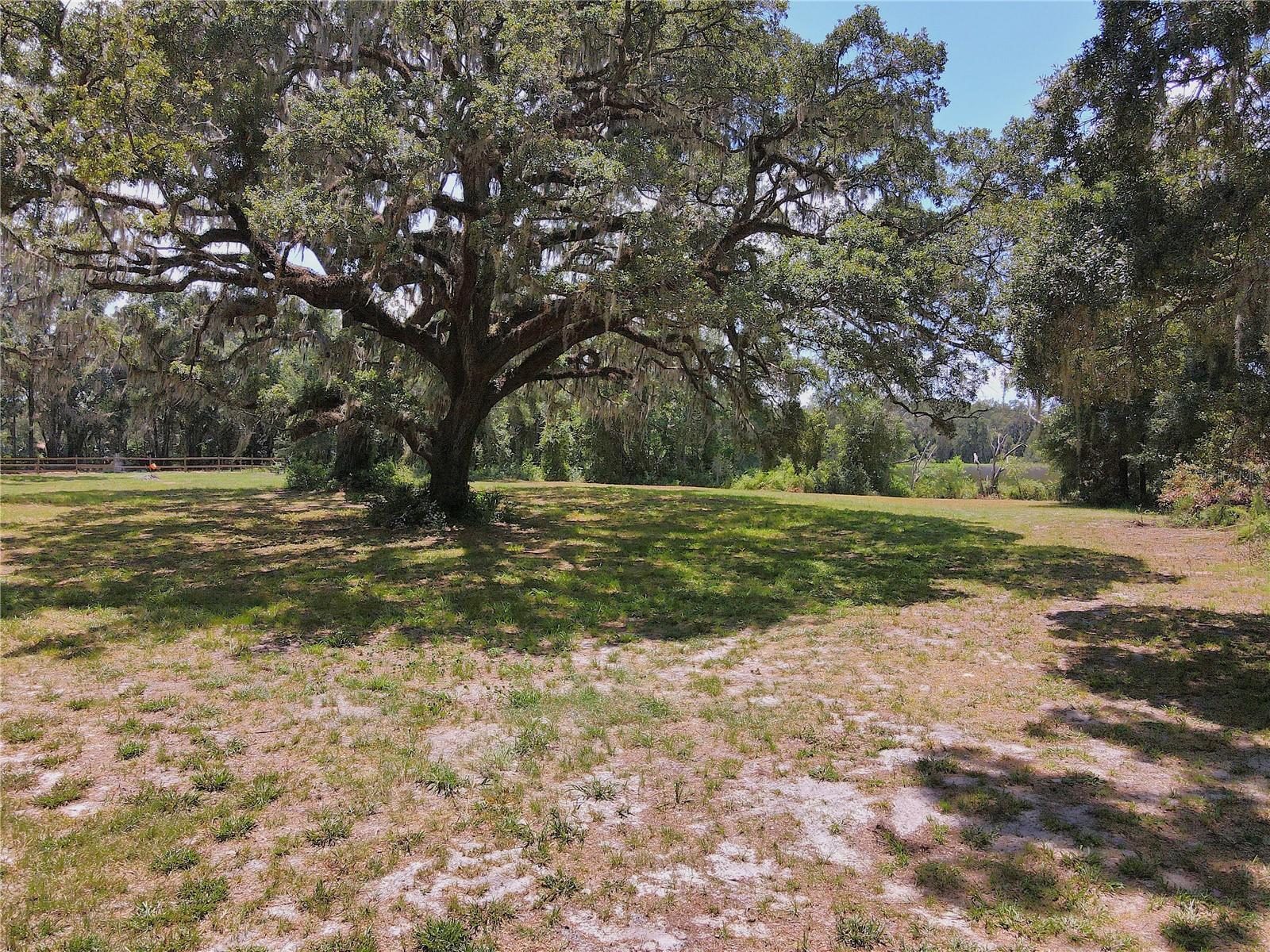 1220 N US HIGHWAY 41, DUNNELLON, FL — photo 62