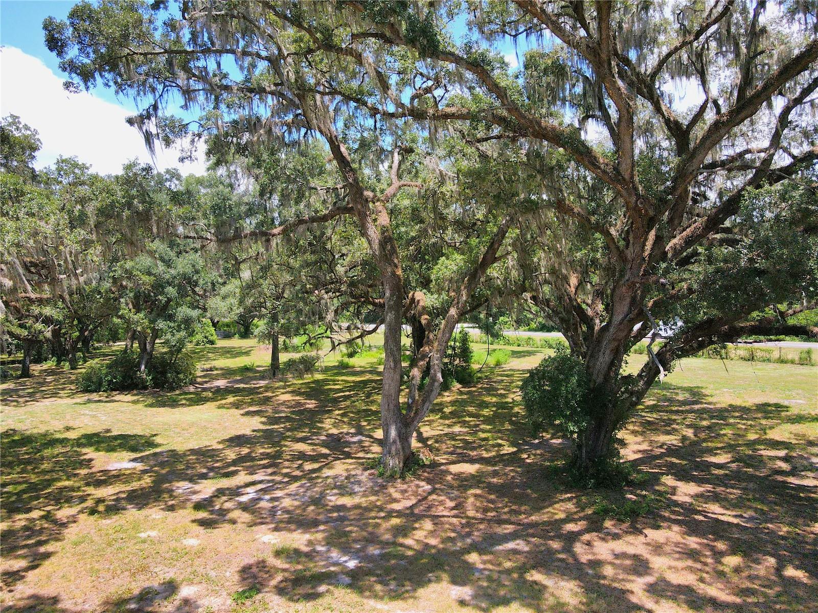 1220 N US HIGHWAY 41, DUNNELLON, FL — photo 68