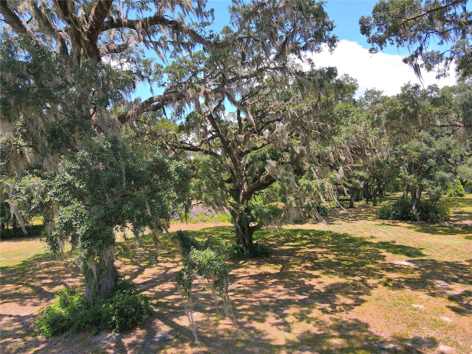 1220 N US HIGHWAY 41, DUNNELLON, FL — photo 69