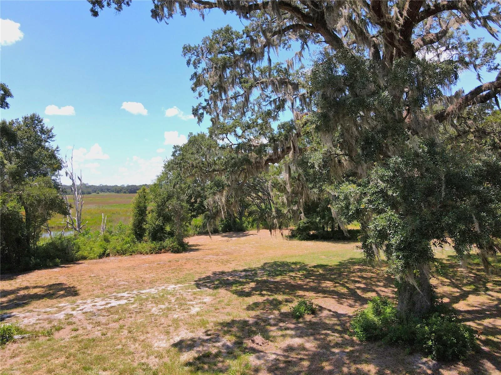 1220 N US HIGHWAY 41, DUNNELLON, FL — photo 72