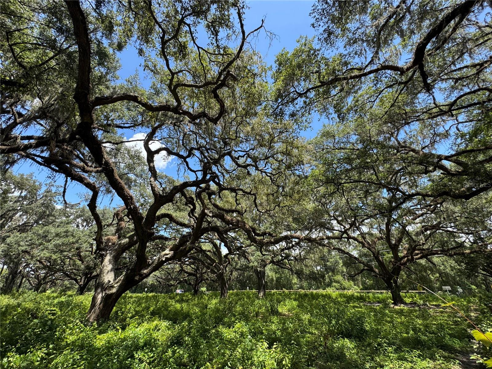 1220 N US HIGHWAY 41, DUNNELLON, FL — photo 83