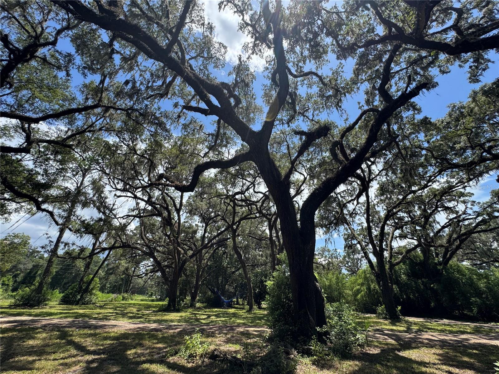 1220 N US HIGHWAY 41, DUNNELLON, FL — photo 86