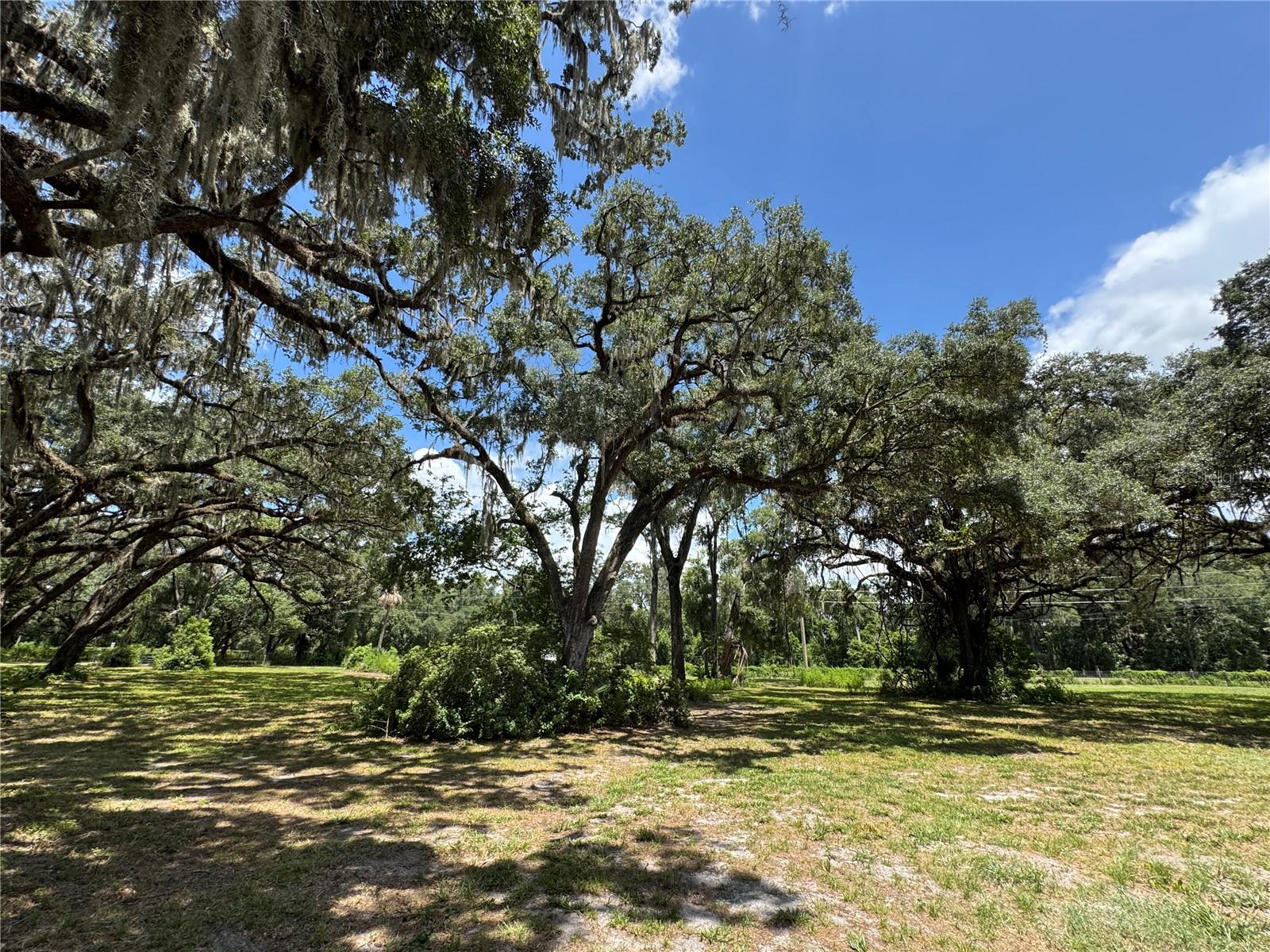 1220 N US HIGHWAY 41, DUNNELLON, FL — photo 88