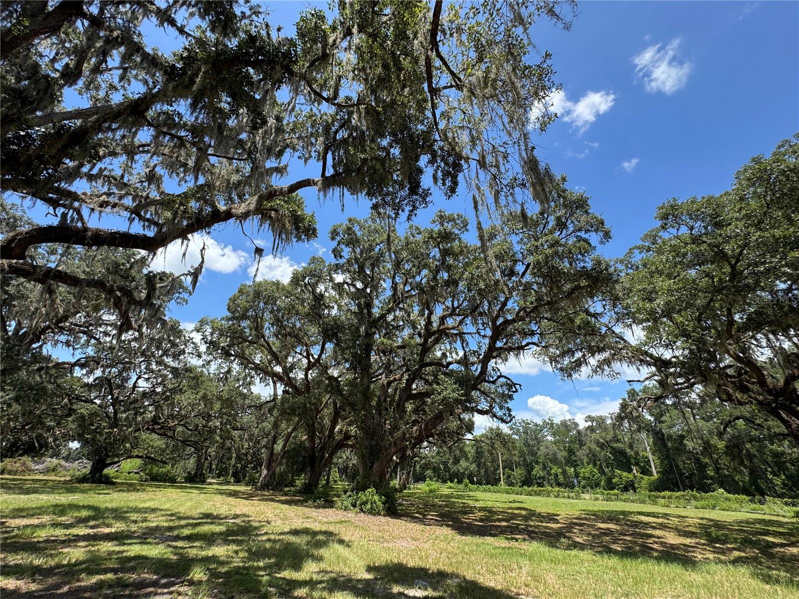 1220 N US HIGHWAY 41, DUNNELLON, FL — photo 90