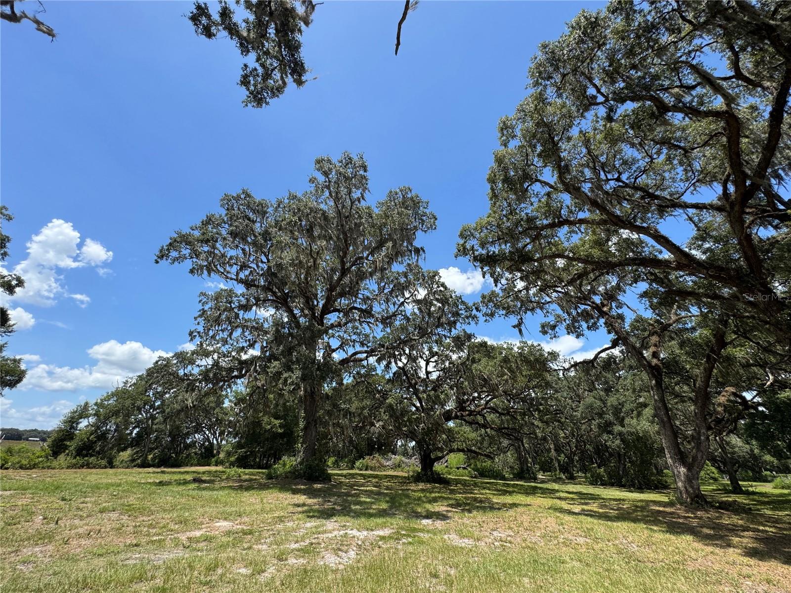 1220 N US HIGHWAY 41, DUNNELLON, FL — photo 92