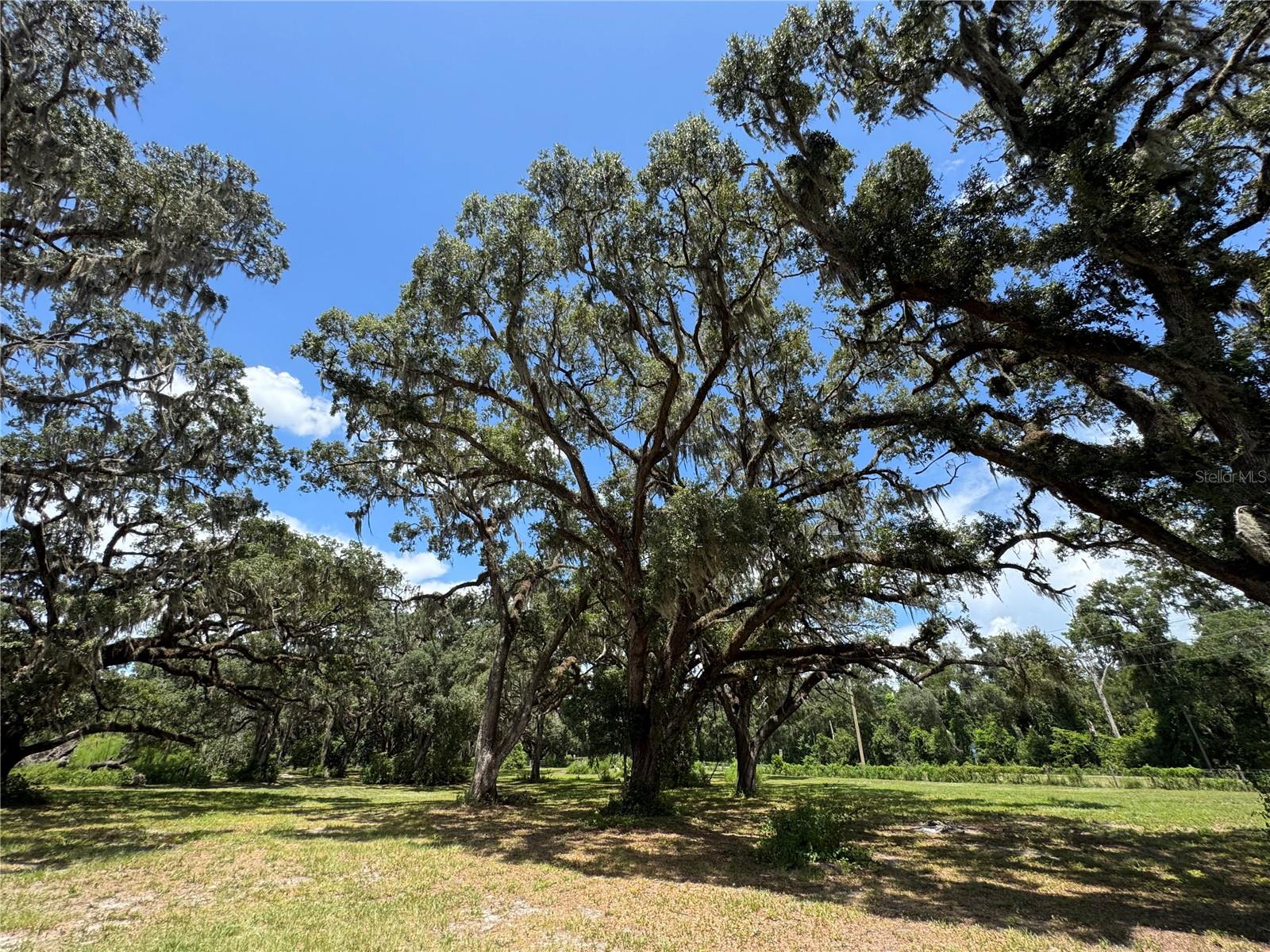 1220 N US HIGHWAY 41, DUNNELLON, FL — photo 93