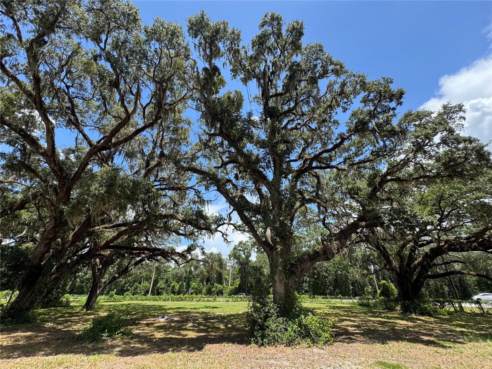 1220 N US HIGHWAY 41, DUNNELLON, FL — photo 96
