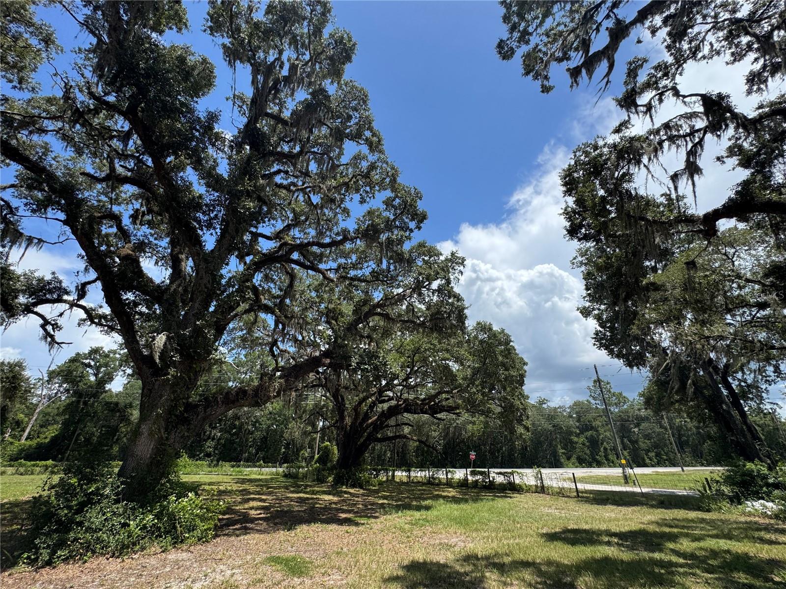 1220 N US HIGHWAY 41, DUNNELLON, FL — photo 97