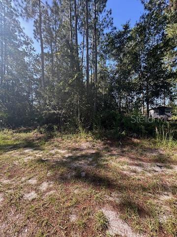WOODLAND AVE, PAISLEY, FL — photo 5